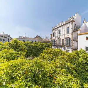 3* Hotel Rey Don Pedro Luxury